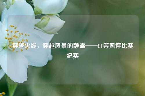 穿越火线,穿越风暴的静谧——CF等风停比赛纪实
