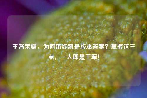 王者荣耀,为何带线凯是版本答案?掌握这三点,一人即是千军!