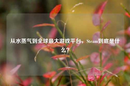 从水蒸气到全球最大游戏平台,Steam到底是什么?