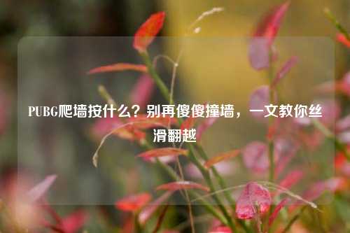 PUBG爬墙按什么?别再傻傻撞墙,一文教你丝滑翻越