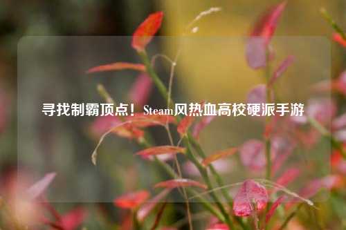 寻找制霸顶点!Steam风热血高校硬派手游