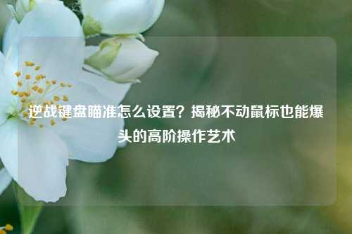 逆战键盘瞄准怎么设置?揭秘不动鼠标也能爆头的高阶操作艺术