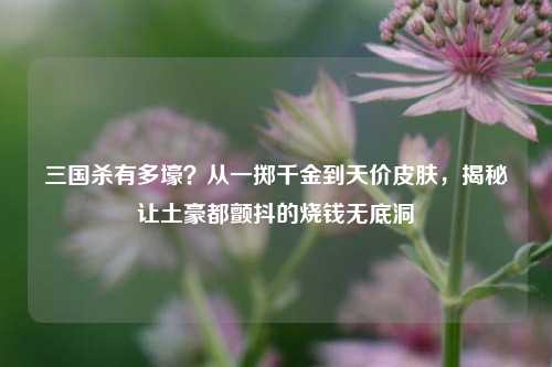 三国杀有多壕?从一掷千金到天价皮肤,揭秘让土豪都颤抖的烧钱无底洞