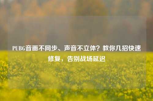PUBG音画不同步、声音不立体?教你几招快速修复,告别战场延迟