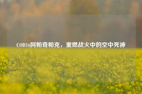 COD16阿帕奇帕克,重燃战火中的空中死神