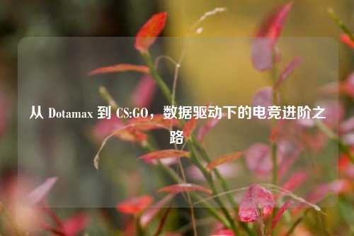 从 Dotamax 到 CS:GO,数据驱动下的电竞进阶之路