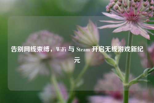 告别网线束缚,WiFi 与 Steam 开启无线游戏新纪元