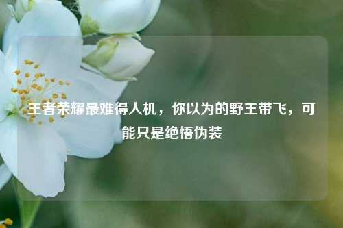 王者荣耀最难得人机,你以为的野王带飞,可能只是绝悟伪装