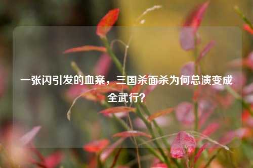 一张闪引发的血案,三国杀面杀为何总演变成全武行?