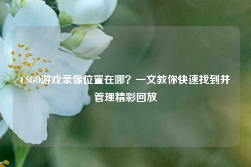 CSGO游戏录像位置在哪?一文教你快速找到并管理精彩回放
