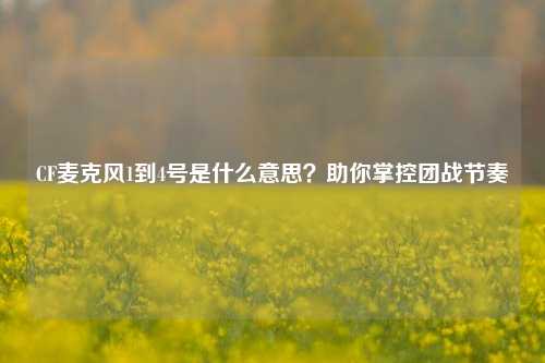 CF麦克风1到4号是什么意思?助你掌控团战节奏