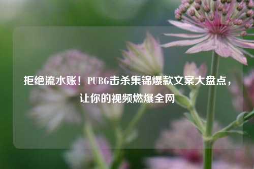 拒绝流水账!PUBG击杀集锦爆款文案大盘点,让你的视频燃爆全网