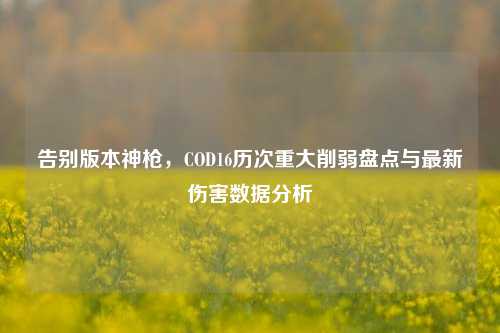 告别版本神枪,COD16历次重大削弱盘点与最新伤害数据分析