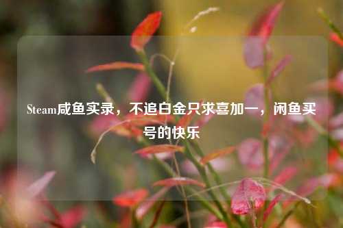 Steam咸鱼实录,不追白金只求喜加一,闲鱼买号的快乐