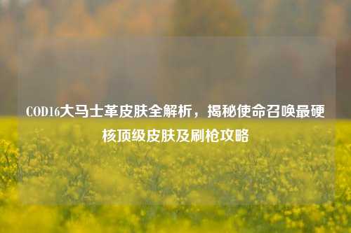 COD16大马士革皮肤全解析,揭秘使命召唤最硬核顶级皮肤及刷枪攻略