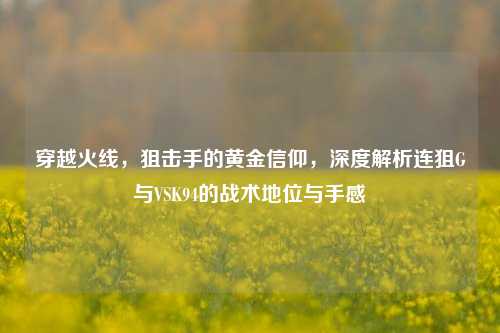 穿越火线,狙击手的黄金信仰,深度解析连狙G与VSK94的战术地位与手感