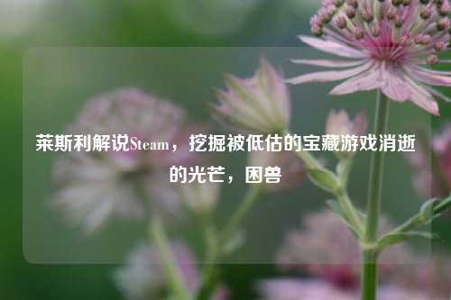 莱斯利解说Steam,挖掘被低估的宝藏游戏消逝的光芒,困兽
