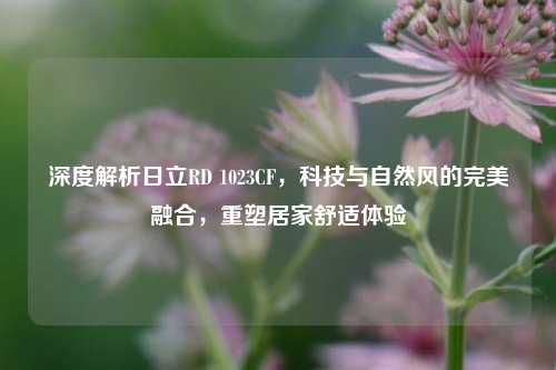 深度解析日立RD 1023CF,科技与自然风的完美融合,重塑居家舒适体验