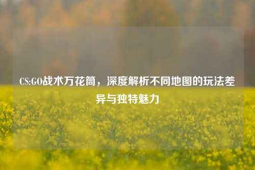 CS:GO战术万花筒,深度解析不同地图的玩法差异与独特魅力