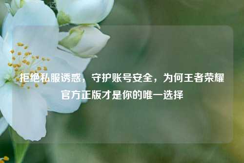 拒绝私服诱惑,守护账号安全,为何王者荣耀官方正版才是你的唯一选择