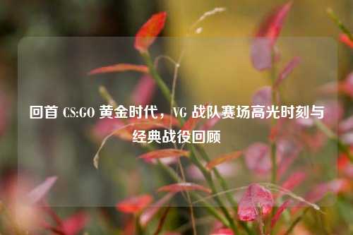 回首 CS:GO 黄金时代,VG 战队赛场高光时刻与经典战役回顾
