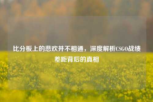 比分板上的悲欢并不相通,深度解析CSGO战绩差距背后的真相