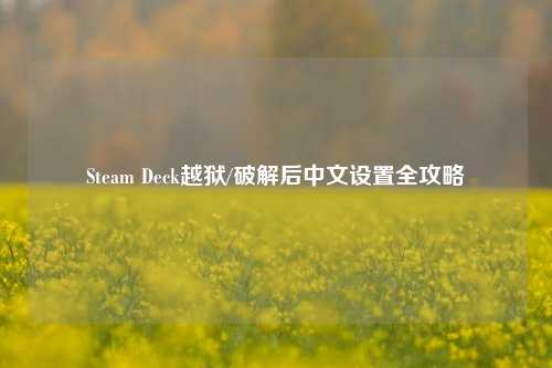 Steam Deck越狱/破解后中文设置全攻略