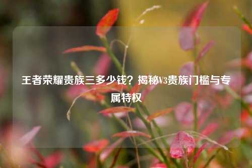 王者荣耀贵族三多少钱?揭秘V3贵族门槛与专属特权