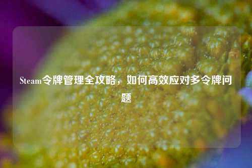 Steam令牌管理全攻略,如何高效应对多令牌问题