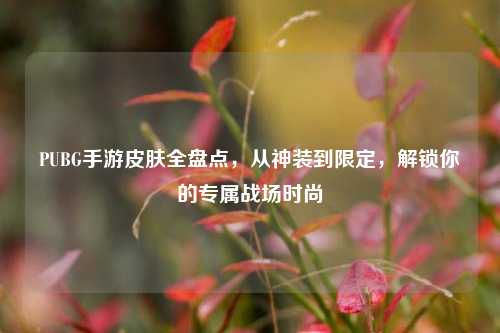PUBG手游皮肤全盘点,从神装到限定,解锁你的专属战场时尚