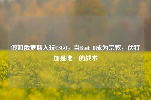 假如俄罗斯人玩CSGO,当Rush B成为宗教,伏特加是唯一的战术