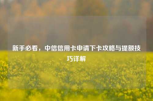 新手必看,中信信用卡申请下卡攻略与提额技巧详解
