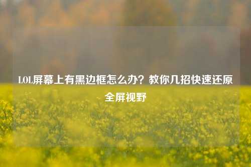 LOL屏幕上有黑边框怎么办?教你几招快速还原全屏视野