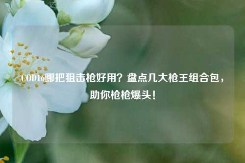 COD16哪把狙击枪好用?盘点几大枪王组合包,助你枪枪爆头!