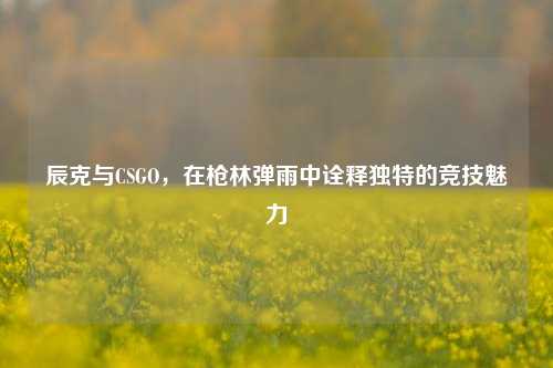 辰克与CSGO,在枪林弹雨中诠释独特的竞技魅力