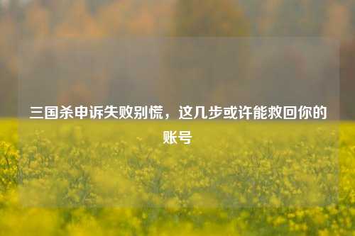 三国杀申诉失败别慌,这几步或许能救回你的账号