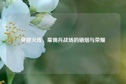 穿越火线,雇佣兵战场的硝烟与荣耀