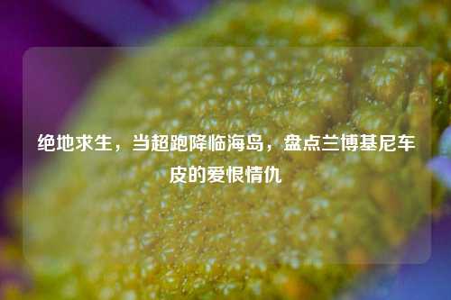 绝地求生,当超跑降临海岛,盘点兰博基尼车皮的爱恨情仇
