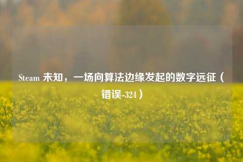 Steam 未知,一场向算法边缘发起的数字远征(错误-324)