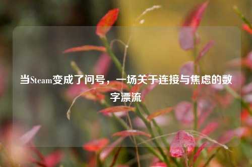 当Steam变成了问号,一场关于连接与焦虑的数字漂流