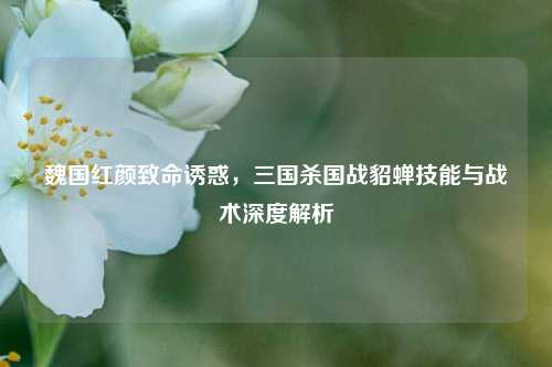 魏国红颜致命诱惑,三国杀国战貂蝉技能与战术深度解析