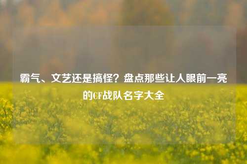 霸气、文艺还是搞怪?盘点那些让人眼前一亮的CF战队名字大全