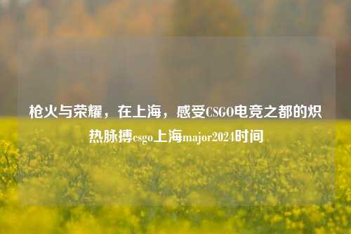 枪火与荣耀,在上海,感受CSGO电竞之都的炽热脉搏csgo上海major2024时间