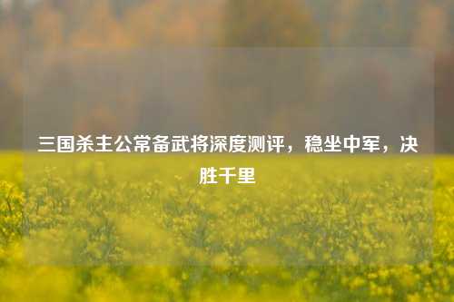 三国杀主公常备武将深度测评,稳坐中军,决胜千里