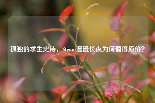 孤独的求生史诗,Steam漫漫长夜为何值得原价?