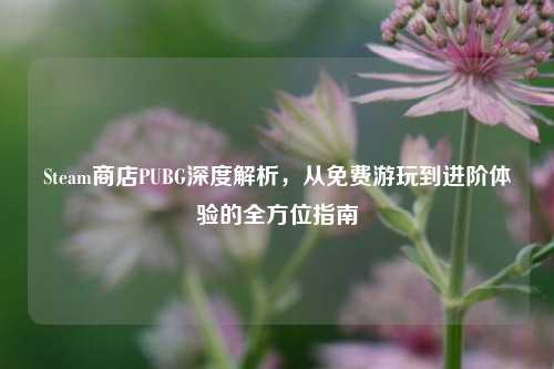 Steam商店PUBG深度解析,从免费游玩到进阶体验的全方位指南