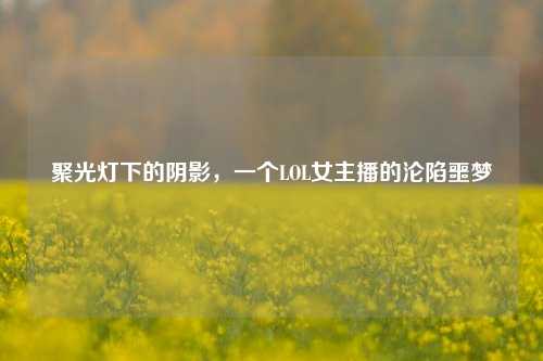 聚光灯下的阴影,一个LOL女主播的沦陷噩梦