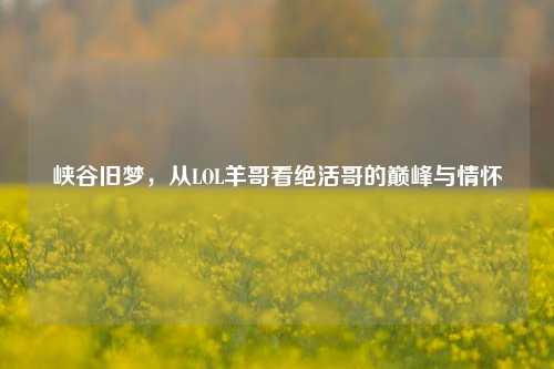 峡谷旧梦,从LOL羊哥看绝活哥的巅峰与情怀