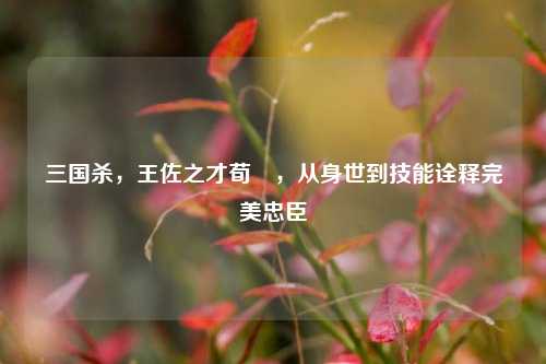 三国杀,王佐之才荀彧,从身世到技能诠释完美忠臣