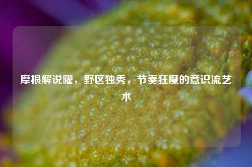 摩根解说曜,野区独秀,节奏狂魔的意识流艺术